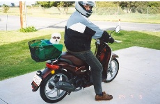 millyscooter (Small).jpg